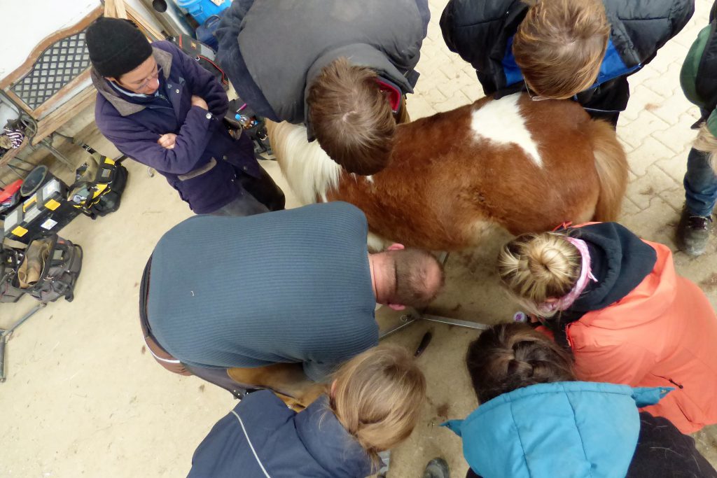 Vorwort zur Ausbildung